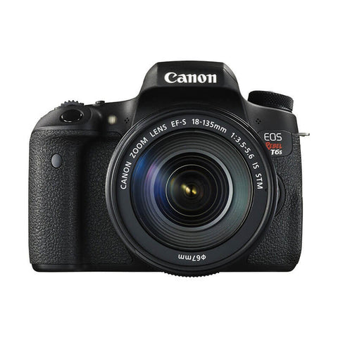 Stafford Prep Multi Color Shorts